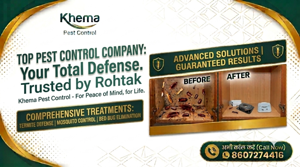 Top Pest Control Company In Rohtak